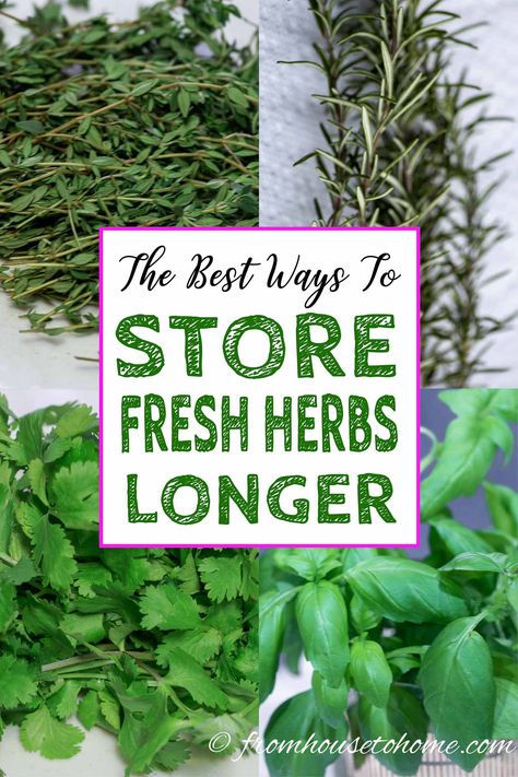 Storing Fresh Basil, Herb Remedies, Preserve Herbs, Freezing Fresh Herbs, Preserve Fresh Herbs, Store Fresh Herbs, Store Produce, Cooking With Fresh Herbs, Rosemary Herb