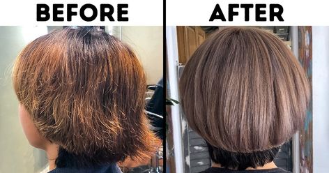 11 Ways You Can Repair Damaged Bleached Hair Bleach Damaged Hair, Fried Hair, Bleached Hair Repair, Treat Damaged Hair, Brassy Blonde, Dry And Damaged Hair, Hair Due, Hair Treatments, Adorable Cats