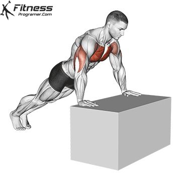 Push Up Muscles Worked, Push Up Muscles, Abdominal Infra, Best Chest Exercises, Workout Videos For Men, Gym Workout Guide, Chest Exercises, Best Chest Workout, Gym Workout Planner