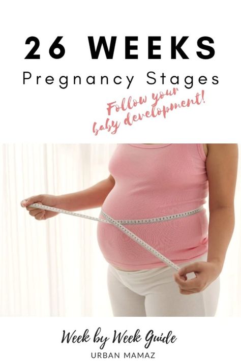 Pregnancy guide - 26 weeks. Are you pregnant? Wondering how is your baby developing? Discover your baby and pregnancy development - Week by week pregnancy guide- pregnancy trimesters, all the pregnancy stages- click here to read about 26 weeks pregnancy》 Pregnancy Trimesters, Pregnancy Development, Week By Week Pregnancy, Body Changes During Pregnancy, Diet While Pregnant, 26 Weeks Pregnant, Pregnancy Help, Pregnancy Hormones, Pregnancy Guide