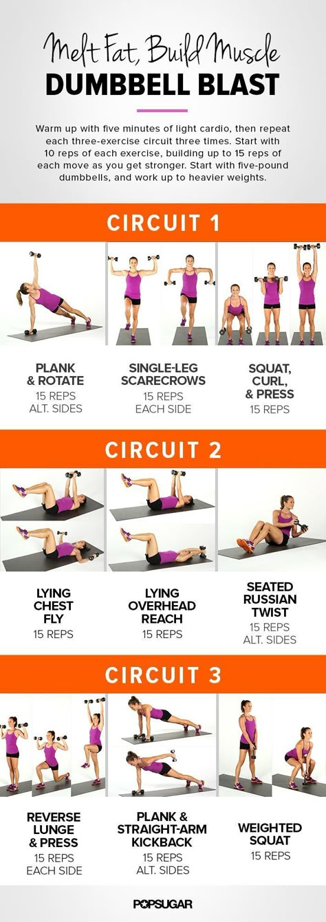 Workout Morning, Trening Fitness, Printable Workouts, Workout Results, Popsugar Fitness, Circuit Workout, Circuit Training, Body Fitness, Diet Keto