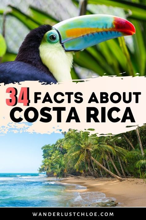 34 Interesting Facts about Costa Rica (2021) Costa Rica Facts, Moving To Costa Rica, Gallo Pinto, Costa Rica Travel Guide, Visit Costa Rica, Costa Rica Vacation, Central America Travel, Costa Rica Travel, Costa Rican