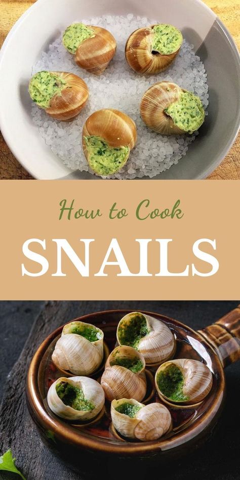 Snail Recipes, Escargot Recipe, French Dinner Parties, Snails Recipe, French Delicacies, Bbq Appetizers, French Dinner, Fish Fish, Appetizer Dips