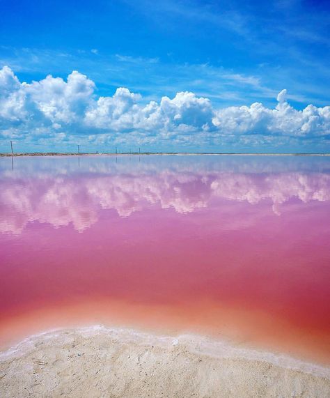 Los Coloradas, Yucatán Mexico Pink Lagoon, Pink Lake, Yucatan Mexico, Yucatan Peninsula, Visit Mexico, Mexico Vacation, North America Travel, Mexico Travel, Magical Places