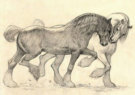 All Play Sketch                                                                                                                                                                                 More Cute Horse Drawings, Horse Cute Drawing, Horse Reference Drawing, How To Draw Horse, Horse Sketch Pencil, Pony Sketch, Horses Illustration, Knight On A Horse, Draw Horse