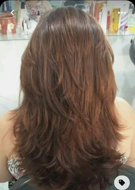 Shaggy Long Hair Choppy Layers, Long Shag Hairstyles, Shaggy Long Hair, Layered Hair With Bangs, Layered Haircuts For Medium Hair, Medium Layered Hair, Hairstyles For Layered Hair, Blending Gray Hair, Haircuts For Medium Hair