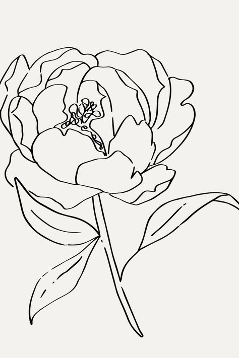 Peony Illustration, Flower Watercolour, Paper Play, Hand Drawn Floral, Peonies Tattoo, Drawn Floral, Floral Illustration, Line Work, Photographer Branding