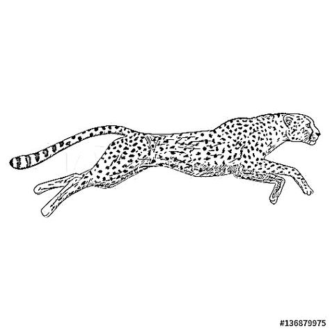 Drift Paradise, Cheetah Art, Lino Printing, Album Art Design, Feminine Tattoos, Lino Print, Album Art, Panther, Tatting