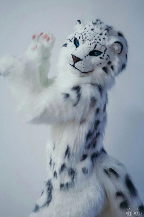 Fursuit Head, Snow Leopard, Online Gallery, The View, League Of Legends, Art Work, Cosplay Costumes, Pokemon, Art Inspiration