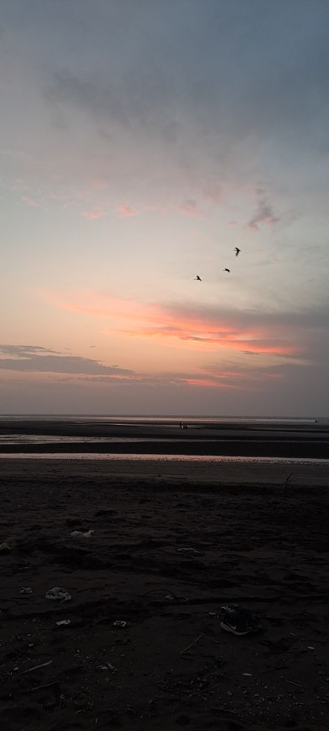 Birds in the evening #valsad #tithalbeach #sunset Beach Snap, Photos For Profile Picture, Profile Picture, Birds, Quick Saves