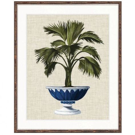 Wall Art – Indah Island British Colonial Wall Art, British Colonial Decor, Island Life Style, Colonial Decor, Botanical Artwork, Bamboo Frame, Decor Home Living Room, Faux Bamboo, Pictures To Paint