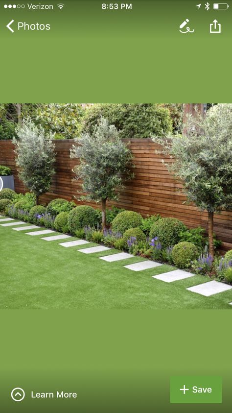 House Backyard, Budget Garden, Grasses Landscaping, Fake Grass, Grasses Garden, Garden Makeover, Patio Plants, Backyard Garden Design, The Fence