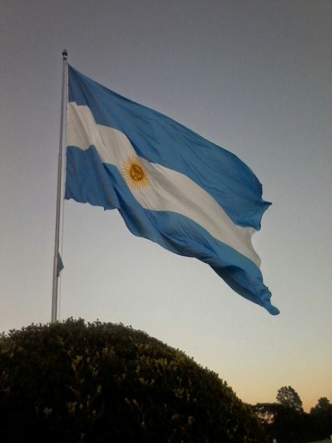 Argentina Flag Aesthetic, Bandera Argentina Aesthetic, Argentine Flag, Argentina Flag, Aesthetic Pictures, Aesthetic Wallpapers, Wind Sock, Flag, Outdoor Decor