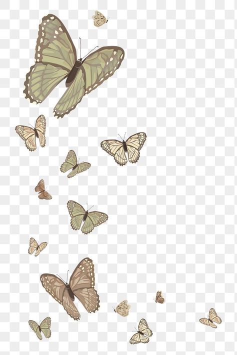 Butterfly Png Aesthetic, Butterfly Transparent Background, Butterflies Png, Png Butterfly, Transparent Png Aesthetic, Transparent Background Aesthetic, Butterfly Png, Butterfly Stickers, Digital Decorations