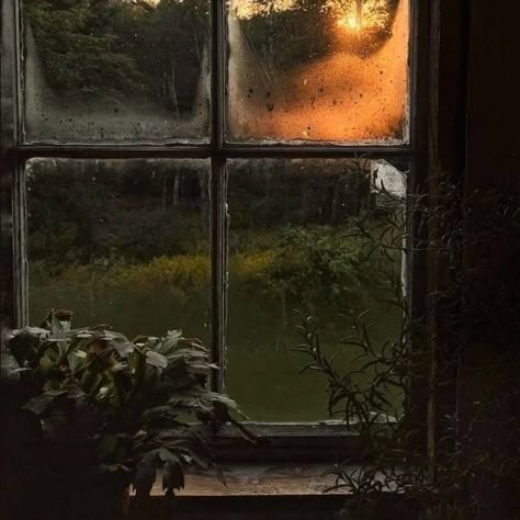 Francesca Findabair, Samantha Core, Fall Moodboard, An Open Window, Lighting Concepts, On A Rainy Day, Fall Inspo, Window View, Aesthetic Photos