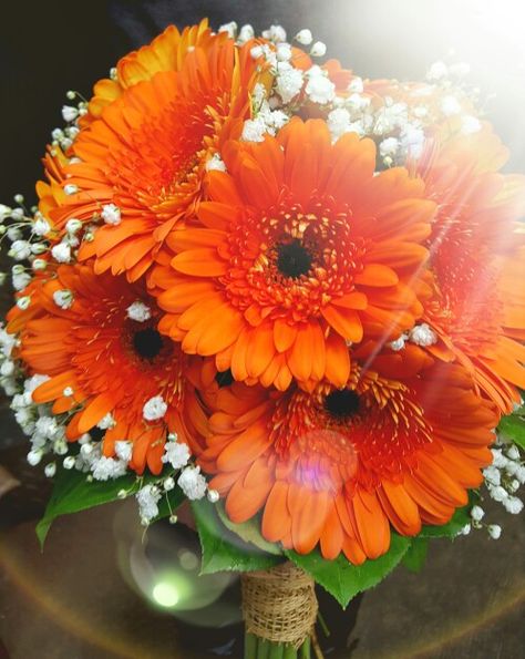 Orange gerbera daisy bouquet Orange Prom Bouquet, Gerbera Wedding Bouquet, Gerbera Bridal Bouquet, Gerbera Daisy Bridal Bouquet, Orange Daisy Bouquet, Orange Gerber Daisy Bouquet, Gerber Daisy Bouquet, Orange Gerbera Bouquet, Margarita Flower