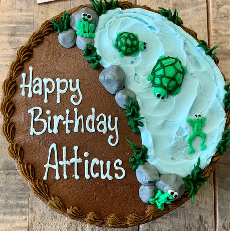 Single Layer Cake Designs, Pond Birthday Cake, Turtle Cake Ideas, Turtle Birthday Cake, Dq Cake, Dq Cakes, Message Cookies, Donut Ideas, 4h Ideas