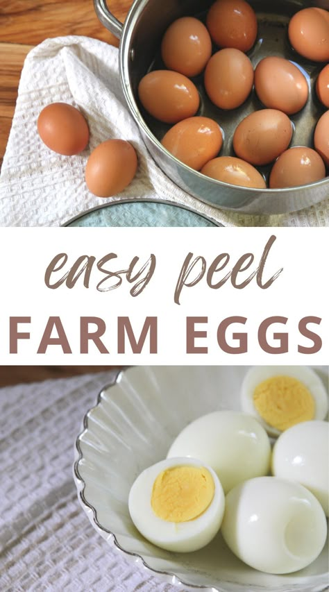 Boil Fresh Eggs, Hard Boil Fresh Eggs, Hard Boiled Eggs Easy Peel, Braised Chicken Recipes, Easy Hard Boiled Eggs, Boiled Chicken Recipes, Egg Hacks, Can Chicken Recipes, Peeling Hard Boiled Eggs