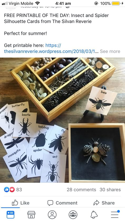 Bugs And Insects Preschool Reggio, Bugs Provocation, Insect Provocations Preschool, Bug Provocation, Bug Provocations Preschool, Eyfs Minibeasts Activities, Insect Provocations, Minibeasts Eyfs Activities, Minibeasts Eyfs