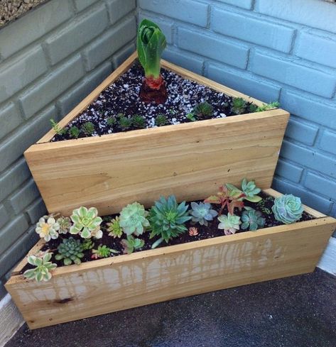 Fill an empty corner with this two-tiered corner planter and watch the gorgeousness grow | Offbeat Home & Life Small Patio Ideas On A Budget, Patio Ideas On A Budget, Design Per Patio, Small Patio Decor, Apartment Balcony Garden, Small Patio Garden, Plants Growing, Back Back, Budget Patio