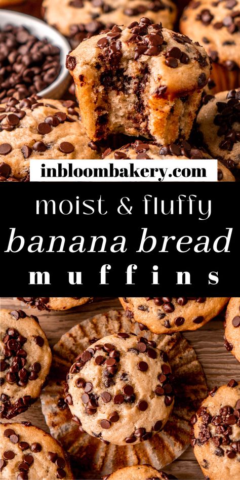 These are the best banana bread muffins! They're soft, moist, full of banana flavor with lots of mini chocolate chips in each bite. If you love banana bread you will love this banana bread muffin recipe! Mini Chocolate Chip Banana Bread, Best Banana Bread Muffins, Banana Muffins With Chocolate Chips, Chocolate Chip Banana Bread Muffins, Banana Choc Chip Muffins, Honey Cornbread Muffins, Banana Bread Muffin Recipe, Chocolate Chip Banana Muffins, In Bloom Bakery