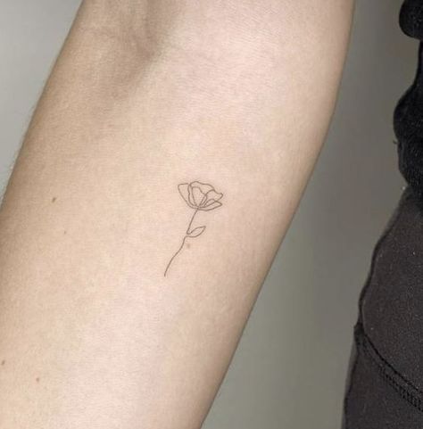 Line Work Poppy Tattoo, Minimal Poppy Flower Tattoo, Small Poppy Tattoo Simple, California Poppy Fine Line Tattoo, Single Line Poppy Tattoo, Fine Line Tattoo Animal, Poppy Fine Line Tattoo, Dainty Poppy Tattoo, Small Poppy Flower Tattoo