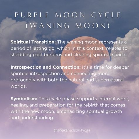 In honor of the new moon 🌙♍️ the cycles of our bodies mirror the cycles of the earth 🪞🌎it's alllll connected. Which moon cycle are you in sync or closest with right now? Understanding these alignments can offer insightful perspectives into how natural rhythms potentially influence emotional, physical, and spiritual well-being. This is an interesting concept that you could incorporate into one of your prenatal/postnatal yoga classes or doula work! 🩵 ✨✨PS don't forget about 20% off tuition... Moon And Period Cycles, Purple Moon Cycle Period, Pink Moon Cycle, Purple Moon Cycle, Red Moon Cycle, Cycle Period, Period Tips, Period Cycle, Postnatal Yoga