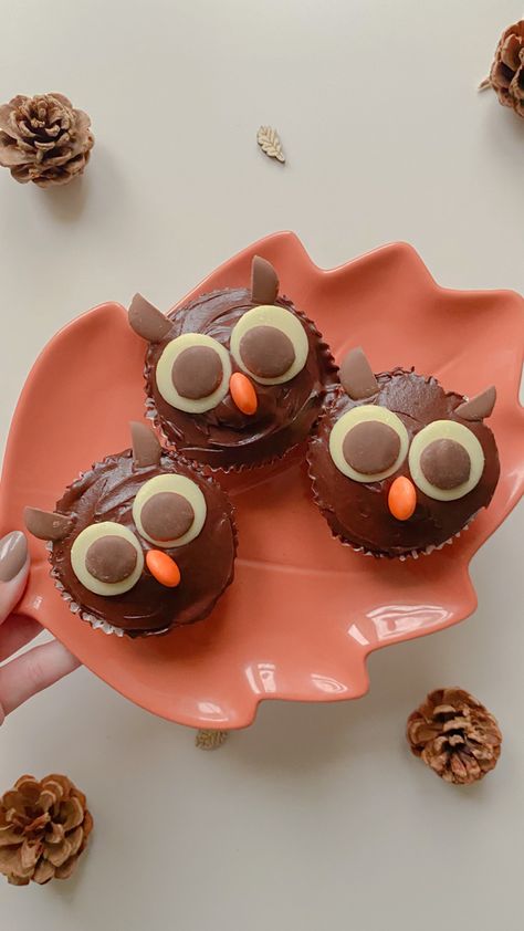 Bird Cupcakes, Owl Cakes, Owl Cupcakes, Cute Cupcake, Animal Cupcakes, Cupcake Decorating, Cute Cupcakes, Winter Animals, School Trip