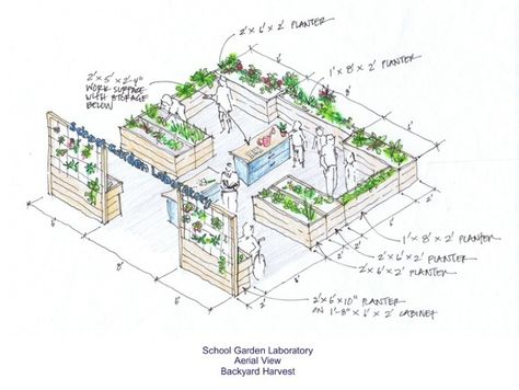 Project: Design a School Garden Winners Announced! | Environment on GOOD Raised Bed Garden Layout, Garden Planning Layout, Garden Layout Vegetable, Garden Drawing, Garden Design Layout, Garden Design Plans, School Garden, Vegetable Garden Design, Street Design