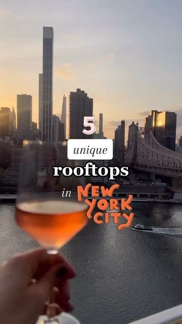 Nyc Rooftop, New York Life, Rooftops, Places To Go, York City, New York City, New York, How To Plan, Travel