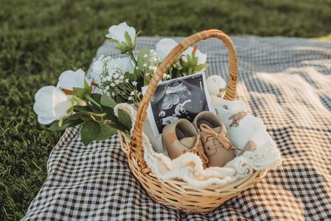 Pregnancy Picnic Photoshoot, Maternity Photography Picnic, Picnic Baby Announcement, Instagram Baby Announcement, Baby Anouncment Ideas Announce Pregnancy, Pregnancy Announcement Basket, Picnic Maternity Photoshoot, Picnic Gender Reveal, Gender Reveal Picnic