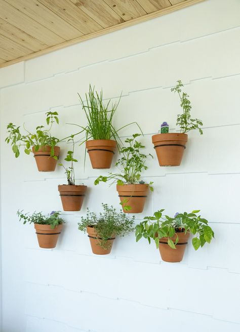 Teracotta Pots, Herb Garden Wall, Food Photography Studio, Herb Garden Pots, Potted Geraniums, Herb Wall, Hanging Herbs, Plant Kitchen, Food Photography Props