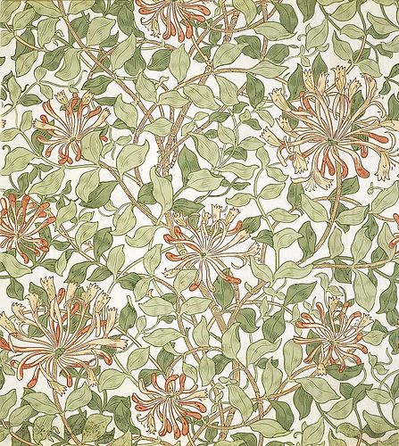 honeysuckle wallpaper Honeysuckle Painting, Honeysuckle Wallpaper, Honeysuckle Design, William Morris Wallpaper, Wallpaper Light, William Morris Art, William Morris Designs, Design Painting, British Art