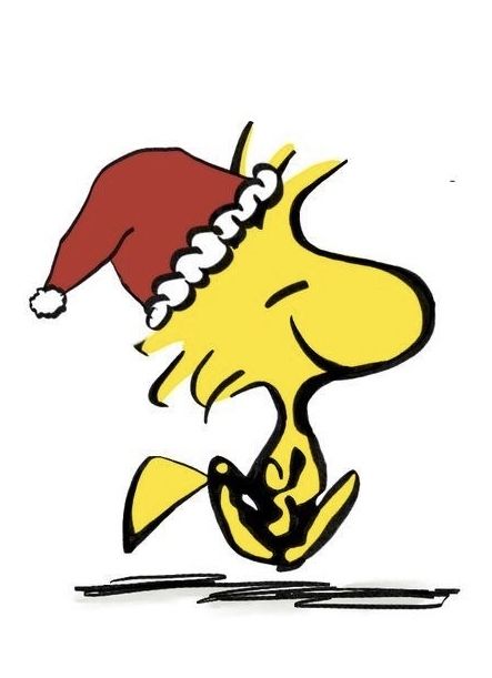 Good Night Christmas, Christmas Snoopy, Snoopy Images, Night Christmas, Snoopy Wallpaper, Snoopy Pictures, Snoopy Woodstock, Snoopy Christmas, What Matters Most