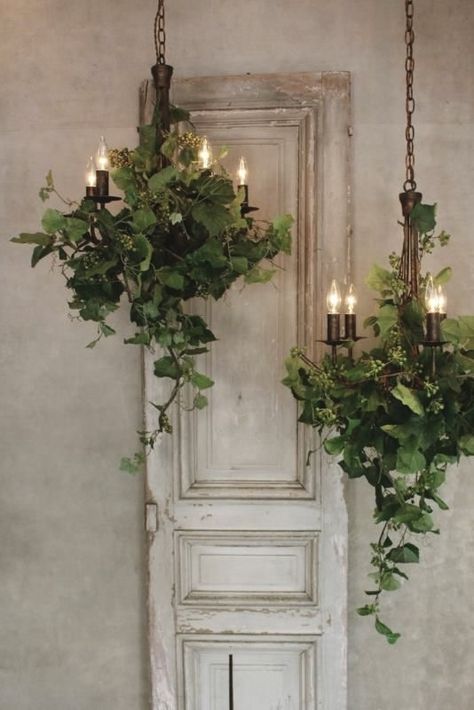 Deco Champetre, نباتات منزلية, Decoration Shabby, Deco Nature, Green Garland, Old Door, Deco Floral, Shelf Decor, Plant Decor