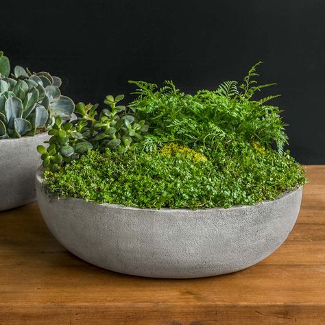 Campania International, Bowl Planter, Stone Concrete, Stone Bowl, Stone Planters, Shallow Bowl, Small Succulents, Garden Accents, Cast Stone