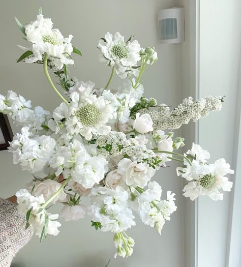 Scabiosa Flower Bouquet, Scabiosa Bouquet, White Scabiosa Flower, Scabiosa White, Scabiosa Flower, White Scabiosa, Anemone White, Flower Variety, Bridal Wedding Flowers