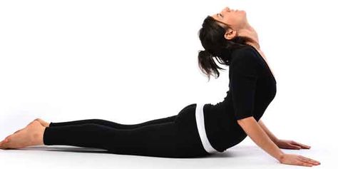 The Cobra Yoga Pose is very relaxing for the mind. This pose is a gateway towards a relaxed mind and it greatly helps to tone your muscles, and has many benefits. Bhujangasana Pose, Yoga Posses, Yoga For Seniors, Muscle Abdominal, Cobra Pose, Easy Yoga Poses, Yoga Posen, Trening Fitness, Yoga Positions