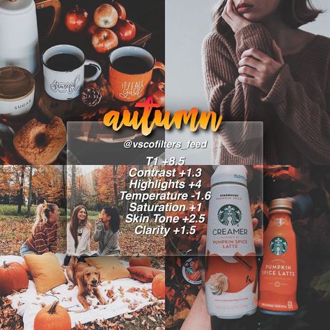 Autumn Instagram Feed, Film Filter, Halloween Filters, Edit Tips, Vsco Filter Free, Editing Filters, Instagram Themes, Vsco Themes, Best Vsco Filters