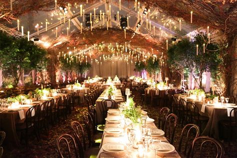 Barney Christmas, Harry Potter Wedding Theme, Baz Luhrmann, Theme Harry Potter, Harry Potter Wedding, Harry Potter Theme, Venue Decor, Wedding Rehearsal Dinner, Tent Wedding