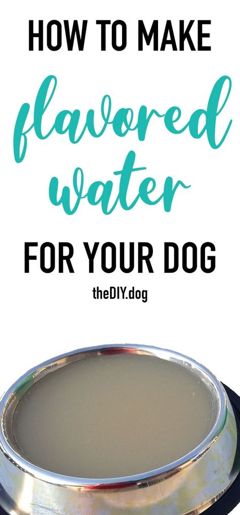 When the weather is hot, it can be so hard to encourage your dog to drink enough water. Adding fun flavours is a tasty way to help keep your dog hydrated this summer. Dog Drink Recipes, Drinks For Dogs, Dog Drinks, Flavoured Water, Pet Treats Recipes, Drink Enough Water, Colorful Hairstyles, Pet Things, Dog Tricks