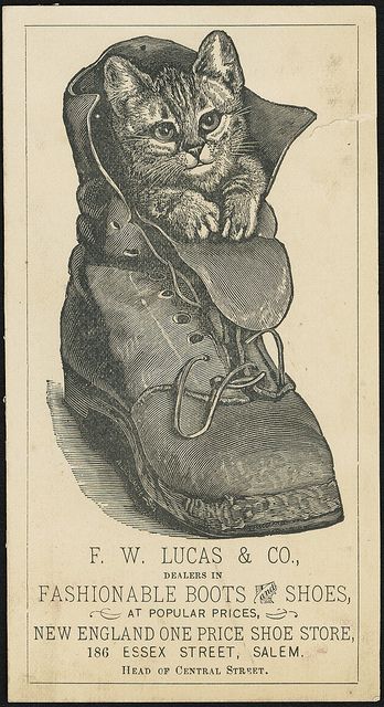 F. W. Lucas & Co., dealers in fashionable boots and shoes at popular prices, New England one price shoe store, 186 Essex Street, Salem. [fro... Essex Street, Image Cat, Boston Public Library, Stylish Wall Art, Cats Illustration, Vintage Cat, Cat Illustration, 로고 디자인, Cat Drawing