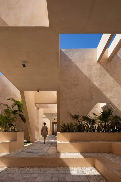 Estudio MMX inaugura Museo de Geología Progreso en la Península de Yucatán Walkway, Geology, Architecture, Building, Plants