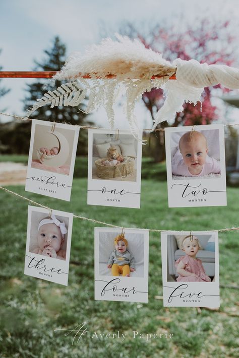 Fall 1st Birthdays, Monthly Photo Banner, Pumpkin First Birthday, 1st Birthday Photo, Baby Milestone Photos, Birthday Photo Banner, One Year Birthday, First Year Photos, 1st Birthday Photos