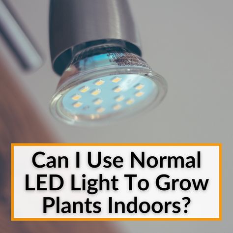 Indoor Garden Lighting Ideas, Uv Lights For Plants, Indoor Plant Grow Lights, Pretty Grow Light, Plant Lighting Indoor, Led Plant Lights Indoor, Led Lights For Plants, Diy Plant Stand With Grow Light, Diy Plant Grow Light