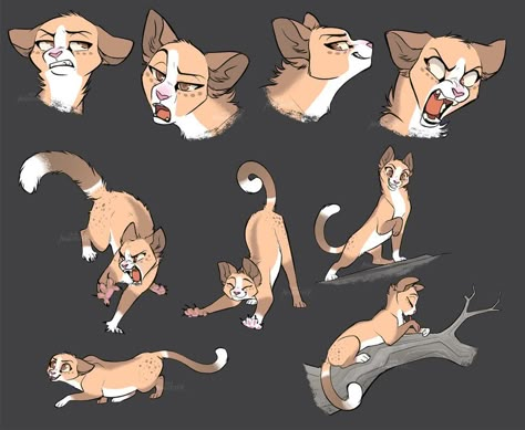 Sketch Page, Cat Drawing Tutorial, Cats Art Drawing, Cat Anatomy, Warrior Cats Fan Art, Cartoon Cats, Warrior Cat Drawings, Warrior Cat Oc, Cat Sketch