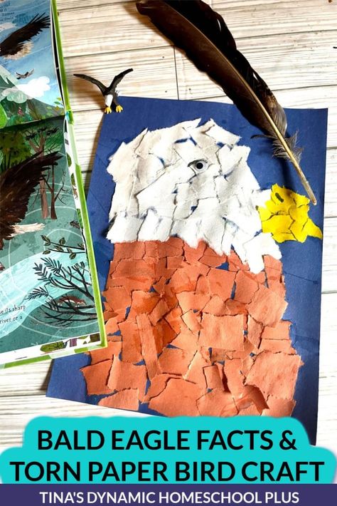 Beautiful Bald Eagle Fun Facts And Torn Paper Bird Craft Eagle Facts, Eagle Craft, Bald Eagle Art, Bird Craft, Paper Bird, Homeschool Crafts, Homeschool Elementary, Eagle Art, Homeschool Encouragement