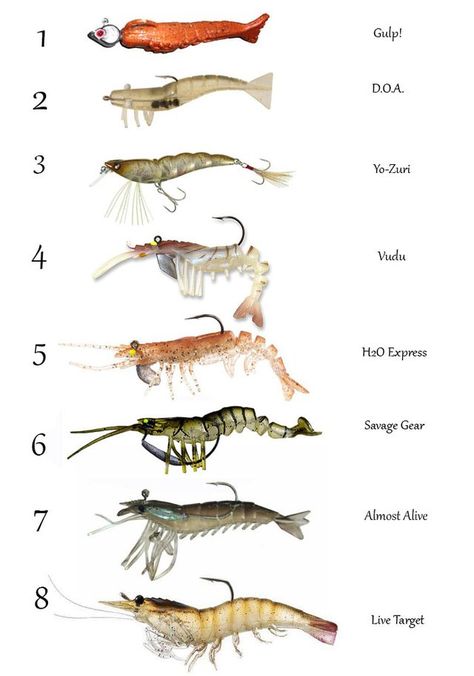 Fish Chart, Pesca In Mare, Saltwater Fishing Lures, Fishing Basics, Saltwater Lures, Salt Water Fishing, Bass Fishing Tips, Fishing Ideas, Surf Fishing