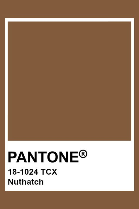 Pantone Brown Shades, Pantone Colors Brown, Brown Pantone Palette, Light Brown Pantone, Pantone Brown, Brown Pantone, Pantone Tcx, Pantone Color Chart, Pantone Swatches