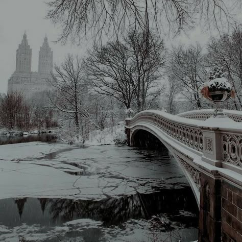 Polarr Filters Code, Winter Palace, Polarr Filters, Winter Scenery, Fantasy Aesthetic, Christmas Snow, Winter Aesthetic, Book Inspiration, Character Aesthetic